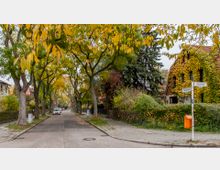 Wohnstraße mit herbstlicher Atmosphäre, gesäumt von Bäumen mit gelb gefärbtem Laub. Auf der rechten Seite ein mit Efeu bewachsenes Haus und ein Straßenschild mit der Beschriftung „Alsterweg“ sowie ein orangefarbener Briefkasten.