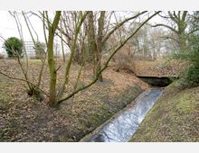 Bewaldete Parklandschaft mit einem kleinen, schmalen Wasserlauf, der durch eine von Bäumen und Sträuchern gesäumte Mulde verläuft. Im Hintergrund ist ein betonierter Zugang zu einem unterirdischen Durchlass erkennbar, darüber hinaus sind Gebäude schemenhaft sichtbar.