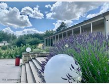 Gebäude mit moderner Fassade und überdachtem Säulengang im Hintergrund, umgeben von einer Gartenanlage mit Lavendelsträuchern im Vordergrund. Eine Treppe führt zu einer gepflasterten Fläche, auf der dekorative Kugellampen stehen, unter einem teils bewölkten Himmel.