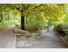 Ein gepflasterter Weg in einem Park mit umgebenden hohen Bäumen und herbstlichem Laub. Eine niedrige Steinmauer mit darüberliegender Bank verläuft entlang des Weges, und eine Metallabsperrung trennt zwei Gehwegabschnitte.