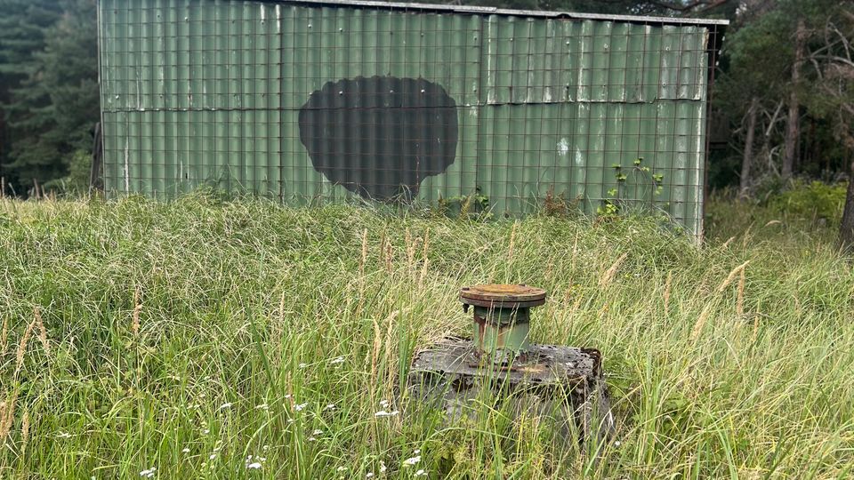 Grüne Wellblechhütte mit schrägem Dach am Rand eines Kiefernwalds, davor eine Wiese mit hohem Gras und Wildblumen. Im Vordergrund steht ein verwittertes Metallteil oder Fundament im Gras; darüber blauer Himmel mit Wolken.