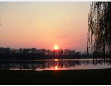 Sonnenuntergang über einem ruhigen See, umgeben von einer Baumreihe, deren Silhouetten sich im Wasser spiegeln. Auf der rechten Seite hängt ein Zweig eines Weidenbaums in die Szene hinein.