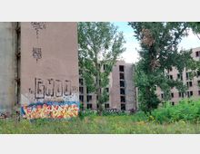 Verfallene Wohnblocks mit offenen, zerstörten Fenstern, teils überwachsen von Bäumen und Büschen. Die Gebäude sind mit Graffiti bedeckt, und im Vordergrund befindet sich eine Wiese mit wildem Bewuchs.