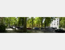 Straßenszene mit einer gelben historischen Kirche in der Mitte, umgeben von großen Bäumen, die Schatten spenden. Links und rechts stehen geparkte Autos, dahinter befinden sich mehrstöckige Wohnhäuser mit weißen Fassaden.