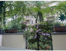Ein kleiner Gartenbereich mit Blumentöpfen auf einer Mauer, bepflanzt mit Blüten und Gräsern. Im Hintergrund sind hohe, helle Wohngebäude mit Balkonen und umgebenden Bäumen sichtbar.