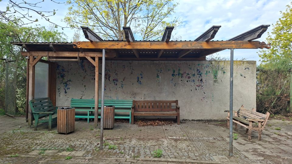 Überdachter Wartebereich im Freien mit hölzernem Dach auf Metallstützen vor einer verwitterten Betonwand mit Farbresten. Auf dem gepflasterten Boden stehen mehrere Bänke und zwei Abfallbehälter, umgeben von Bäumen und Sträuchern.