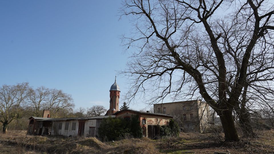 Verlassen wirkendes Gelände mit niedrigem Backstein- und Putzgebäude, dahinter ein hoher runder Turm mit Kuppeldach. Im Vordergrund stehen ein großer kahler Baum und trockenes, überwuchertes Gras unter blauem Himmel.
