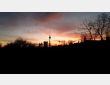 Die Silhouette des Berliner Fernsehturms bei Sonnenuntergang, umgeben von Baukränen, Bäumen und Gebäuden im Vordergrund. Der Himmel ist in warmen Farben von Orange und Rosa gefärbt.