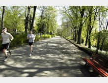 Ein Parkweg mit dichtem Baumbestand, der teilweise Schatten auf den breiten unbefestigten Pfad wirft. Zwei joggende Personen sind auf dem Weg zu sehen, während rechts im Vordergrund eine rote Sitzbank steht.