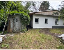 Eine verwitterte, mit Efeu bewachsene Holzhütte steht neben einem kleinen modernen Gebäude mit weißen Wänden und rechteckigen Fenstern. Im Vordergrund ist eine grasbewachsene Fläche mit spärlichem Bewuchs zu sehen, umgeben von Bäumen und Sträuchern.