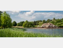 Ein Teich inmitten einer Parklandschaft mit Schilf im Vordergrund und einer von Bäumen umgebenen Uferzone. Am rechten Bildrand befindet sich ein Gebäude mit einer einzigartigen, wellenförmigen Dachstruktur und Sonnenschirmen, das als Café oder Restaurant genutzt wird.