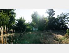 Eine Wiese mit hohem, teils getrocknetem Gras und vereinzelten Bäumen im Vordergrund, im Hintergrund eine kleine weiße Hütte, umgeben von dichtem Grün und hohen Bäumen. Sonnenlicht fällt durch die Baumkronen und erzeugt helle Reflexionen.