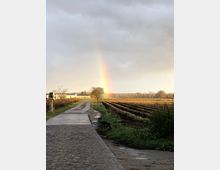 Ein ländlicher Weg mit Kopfsteinpflaster führt durch eine offene Landschaft, die links von einem Zaun und rechts von gepflügten Feldern begrenzt wird. Im Hintergrund ist ein Regenbogen vor einem bewölkten Himmel zu sehen, und ein Hund steht auf dem Weg nahe der Felder.