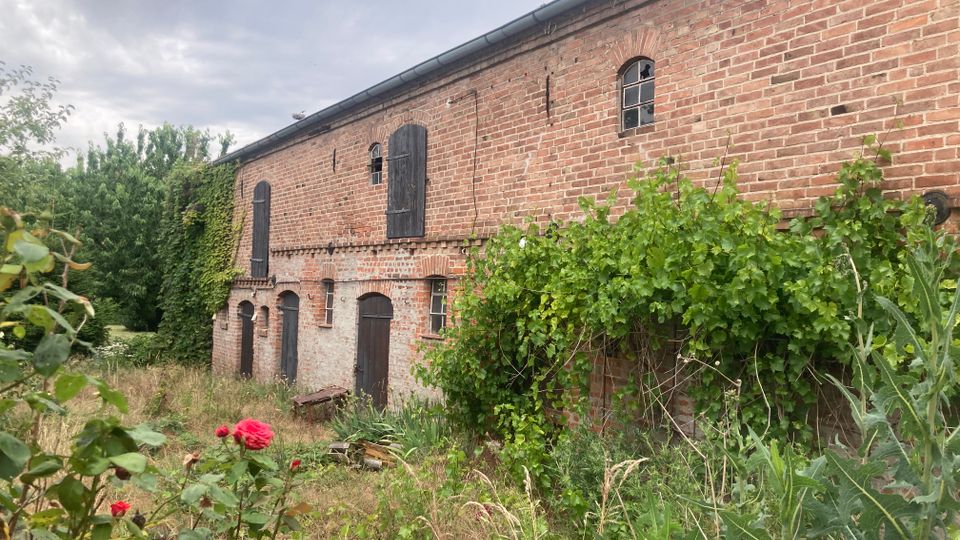 Backsteingebäude mit verblassenden roten Steinen, schwarzen hölzernen Fensterläden und bogenförmigen Fenstern, umgeben von wildem Bewuchs und Pflanzen, einschließlich Rosen und Kletterpflanzen. Der Himmel ist bewölkt, und die Umgebung wirkt ländlich und überwuchert.