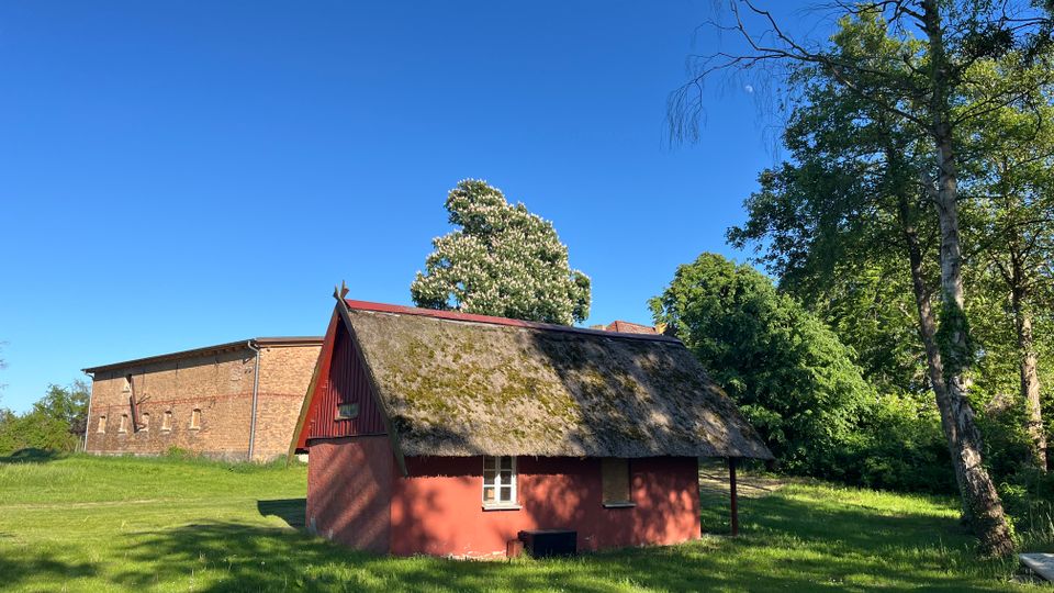 Kleines rotes Häuschen mit Reetdach auf einer grünen Wiese, umgeben von Bäumen unter blauem Himmel. Im Hintergrund steht ein größeres Backsteingebäude mit flachem Dach.