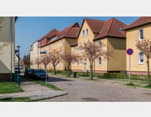 Wohnstraße mit gelb verputzten Mehrfamilienhäusern und roten Ziegeldächern, flankiert von blühenden Bäumen. Gepflasterte Gehwege und Straße, mit parkenden Autos und einem Halteverbotsschild am Straßenrand.