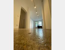 Innenansicht eines leeren Raumes mit hellem Putz an den Wänden und einem polierten Betonboden. Im Hintergrund sind große Fenster und eine Glastür zu sehen, die Tageslicht hereinlassen, sowie Deckenstrahler an einer Lichtschiene.