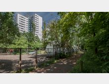 Ein Weg führt durch eine grüne, bewaldete Umgebung, flankiert von Bäumen und Sträuchern. Im Hintergrund ist ein hoher, weißer Wohnblock sichtbar, während im Vordergrund ein eingezäuntes Gelände mit Wellblechstrukturen zu erkennen ist.