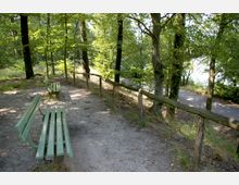 Ein Waldweg mit grünen Holzbänken, die entlang einer hölzernen Geländerabsperrung stehen. Im Hintergrund sind zahlreiche Bäume und ein kleiner geteerter Weg sichtbar.