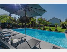 Ein moderner Außenpool mit angrenzender Terrasse, ausgestattet mit Liegestühlen, Sonnenschirmen und kleinen Tischen. Im Hintergrund befinden sich Palmen in Pflanzkübeln, eine Rasenfläche und ein Wohnhaus, umgeben von Bäumen und Sträuchern.