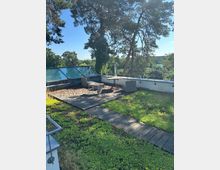 Dachterrasse mit Holzdeck, kleinem Rundtisch und zwei Rattansesseln, umgeben von begrünten Flächen und einem Holzsteg. Am Rand stehen schräge Glasdachfenster und ein Geländer, dahinter Blick auf hohe Kiefern und eine bewaldete Landschaft.