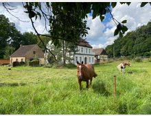 Ein ländlicher Hof mit mehreren Gebäuden, darunter ein weißes Wohnhaus und ein Fachwerkhaus, umgeben von grünen Wiesen. Im Vordergrund stehen zwei Pferde auf einer eingezäunten Weide, umgeben von Bäumen und Wolken am Himmel.