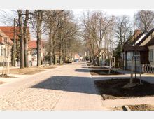 Eine gepflasterte Straße in einem Wohngebiet mit symmetrisch angeordneten Bäumen. Auf beiden Straßenseiten stehen Einfamilienhäuser mit roten Ziegeldächern und Vorgärten.