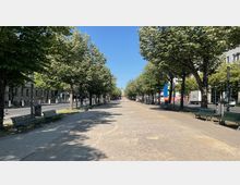 Weitläufige Allee mit einer zentralen Fußgängerzone, flankiert von Reihen blühender Bäume und grünen Parkbänken. Auf beiden Seiten der Allee verlaufen Straßen mit Gebäuden im Hintergrund; am Ende ist ein bekanntes Torbauwerk sichtbar.