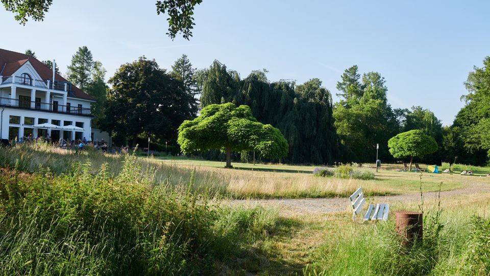 Eine weitläufige Parklandschaft mit einem geschwungenen Kiesweg, einer weißen Parkbank und mehreren vereinzelten Bäumen, darunter ein großer Baum mit ausladender Krone. Im Hintergrund steht ein weißes Gebäude mit roten Dachziegeln und Balkon, umgeben von dichten Bäumen.
