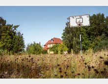Ein verlassenes Basketballfeld mit einem alten, beschädigten Basketballkorb in einer überwachsenen Wiese. Im Hintergrund ist ein gelbes Wohnhaus mit rotem Dach, umgeben von Bäumen und Sträuchern, zu sehen.