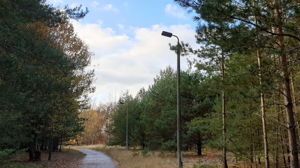 Ein asphaltierter Weg führt durch einen Wald mit Kiefern und Laubbäumen, begleitet von vereinzelten Straßenlaternen. Der Himmel ist teils bewölkt mit einigen blauen Stellen.