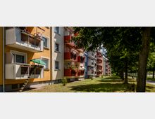 Mehrstöckige Wohngebäude mit gelben, orangen und blauen Fassaden sowie Balkonen, geschmückt mit Blumen und Sonnenschirmen. Im Vordergrund Grünflächen, vereinzelt kleine Büsche und rechts eine Baumreihe neben einem Gehweg.