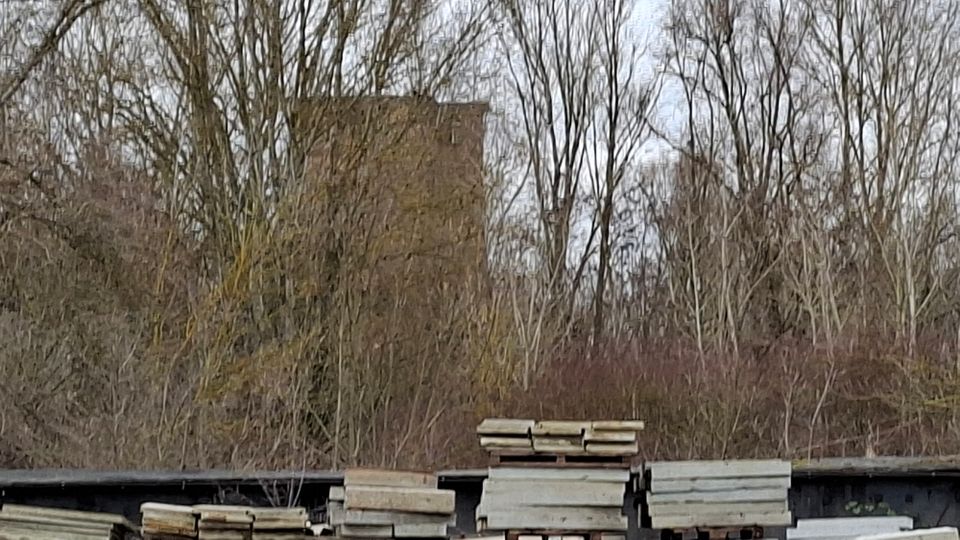 Blick auf ein dichtes Dickicht aus laublosen Bäumen und Sträuchern, dahinter ragen unscharf zwei hohe, rechteckige Hochhausgebäude auf. Im Vordergrund liegen gestapelte Beton- oder Steinplatten auf einer dunklen Abdeckung, wie an einem Lagerplatz oder einer Baustelle.