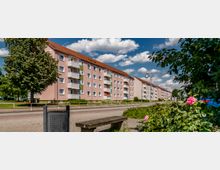 Mehrstöckige Wohngebäude in einer Reihe mit hellrosa Fassaden und roten Ziegeldächern, umgeben von Grünflächen. Im Vordergrund stehen eine Holzbank, ein Mülleimer und blühende Rosensträucher neben einem Gehweg.