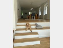 Heller, moderner Wohn- und Essbereich mit einer kurzen, breiten Holztreppe, die in einen offenen Raum mit Holzboden und Esstisch führt. Große, bogenförmige Fenster und mehrere Deckenleuchten prägen den Raum.