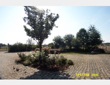 Gepflasterter Hof mit einem runden Beet, in dessen Mitte ein Baum steht, umgeben von Blumen und Sträuchern. Im Hintergrund befinden sich weitere Bäume, eine Wiese und angrenzende Felder mit einem Holzzaun.