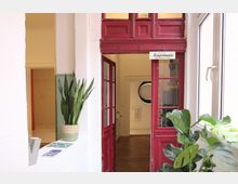 Heller Innenbereich mit roter, verglaster Doppeltür, die zu einem Flur mit Holzfußboden führt. Im Vordergrund stehen mehrere Zimmerpflanzen, darunter eine Bogenhanf-Pflanze in einem Topf, sowie Kacheln und Dekoration auf einer weißen Ablage.