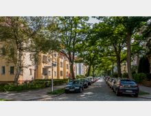Straßenszene in einem Wohngebiet mit gepflasterter Fahrbahn, gesäumt von geparkten Autos auf beiden Seiten. Links und rechts der Straße stehen mehrstöckige, helle Wohnhäuser mit Balkonen, umgeben von großen, schattenspendenden Bäumen.