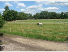 Weite, eingezäunte Weide mit grünem Gras, auf der zwei weiße Pferde grasen; im Hintergrund stehen Bäume unter einem leicht bewölkten Himmel.
