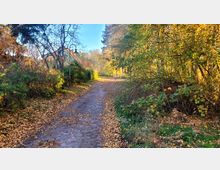 Ein gepflasterter Weg führt durch eine herbstliche Landschaft mit Bäumen und Sträuchern, deren Blätter teilweise gelb und braun sind. Eine Laterne steht am Wegesrand, und das Sonnenlicht beleuchtet die Szenerie.