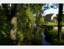 Grüne Landschaft mit einem schmalen, ruhigen Bach, der von Bäumen und Pflanzen gesäumt ist. Im Hintergrund steht ein ländliches Gebäude mit Ziegeldach, umgeben von einer Wiese und einem Gewächshaus.
