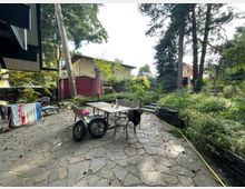 Ein gepflasterter Gartenbereich mit einem Tisch und Stühlen in der Mitte, umgeben von hohen Bäumen, Sträuchern und Blumenbeeten. Im Hintergrund sind Wohnhäuser und ein roter Schuppen sichtbar.