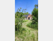 Backsteinhaus mit dunklem Satteldach in einer ländlichen Umgebung, umgeben von hohen Gräsern, Bäumen und blühenden Sträuchern unter klarem, blauem Himmel. Ein schmaler, gemähter Weg führt durch das grüne Gelände auf das Haus zu.