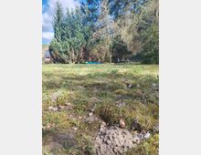 Blick über eine moosige Wiese mit Laub und einem kleinen Erdhügel im Vordergrund. Im Hintergrund stehen dichte Nadel- und Laubbäume; rechts ist ein Picknicktisch mit Bänken und links ein kleines Gartenhäuschen zu sehen.