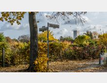 Straßenecke in einer herbstlichen Umgebung mit Laubbäumen und buntem Gestrüpp. Im Hintergrund ist ein heller Kirchturm zu sehen, während ein Wegweiser mit den Straßennamen „Elmshorner Straße“ und „Schottmüllerstraße“ im Vordergrund steht.