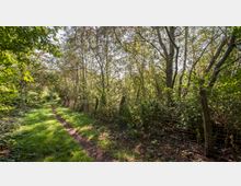 Ein schmaler, grasbewachsener Weg führt durch eine von Bäumen und Sträuchern gesäumte Waldlandschaft. Rechts des Weges befindet sich ein Zaun aus Metallgeflecht, der den Wald begrenzt.