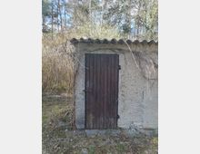 Kleine, einfache Hütte mit verputzter Wand und gewelltem Dach, mittig eine dunkle Holztür mit Metallbändern und Vorhängeschloss. Umgeben von überwucherten Ranken und einem lichten Wald im Hintergrund.