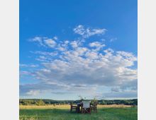 Eine Wiese mit einem gedeckten Holztisch und mehreren Stühlen im Vordergrund, umgeben von natürlicher Vegetation. Im Hintergrund erstrecken sich Bäume am Horizont unter einem blauen Himmel mit vereinzelten weißen Wolken.