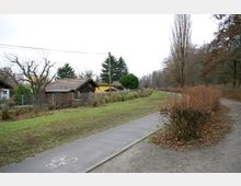 Ein schmaler asphaltierter Weg mit Fahrradmarkierung verläuft durch eine parkähnliche Landschaft. Auf der linken Seite befinden sich kleine Häuser mit Zäunen und kahlen Bäumen, während sich rechts ein Kiesweg und Büsche befinden; im Hintergrund sind hohe Bäume sichtbar.