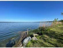 Ufer eines Sees mit klarem Wasser, umgeben von Schilf und Grasflächen. Im Vordergrund sind Steine am Rand des Ufers sichtbar, dahinter eine ruhige Landschaft mit vereinzelten Bäumen unter einem wolkenlosen blauen Himmel.